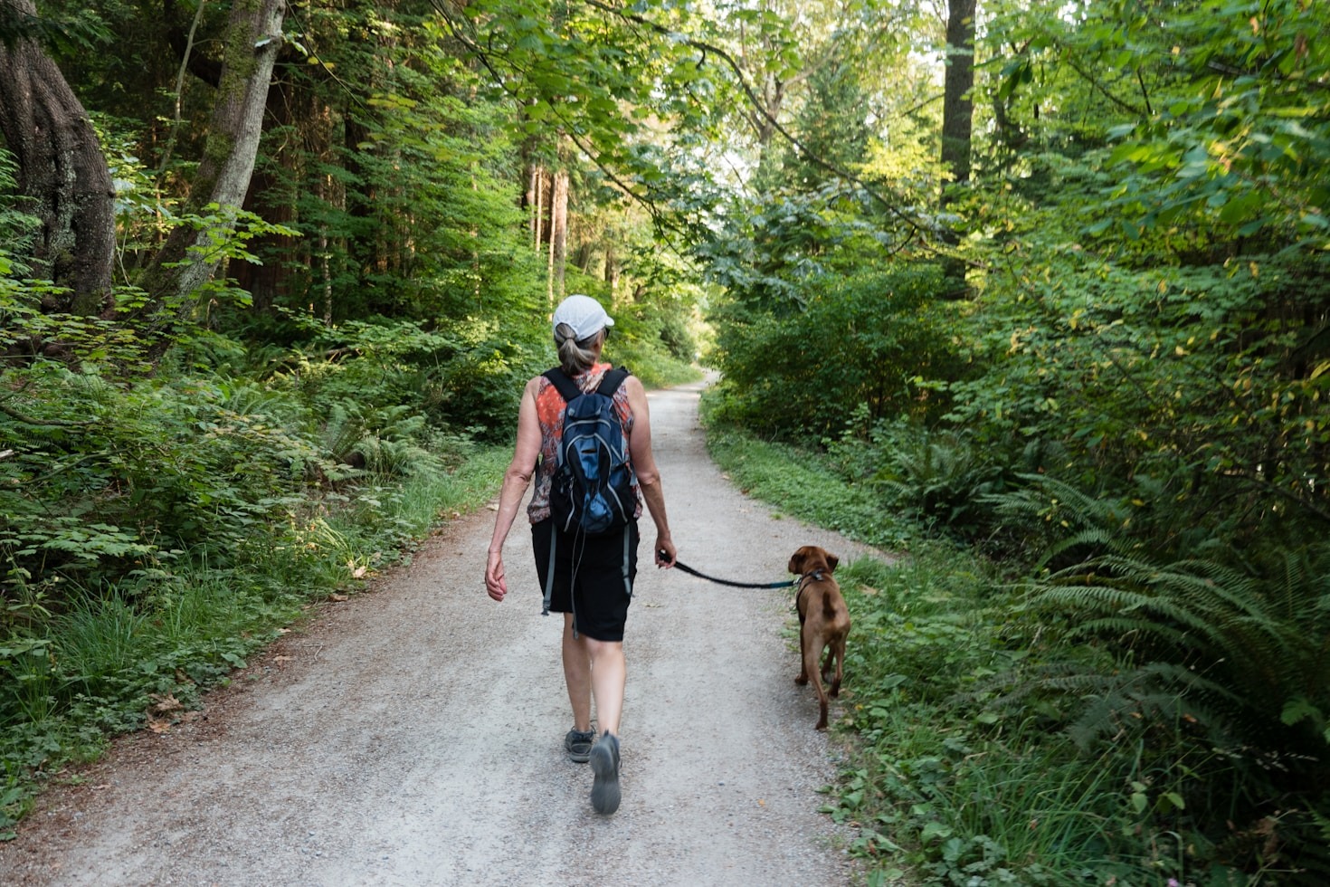 5 Benefits of Outdoor Adventures for Your Dog